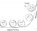 Hygiene factors