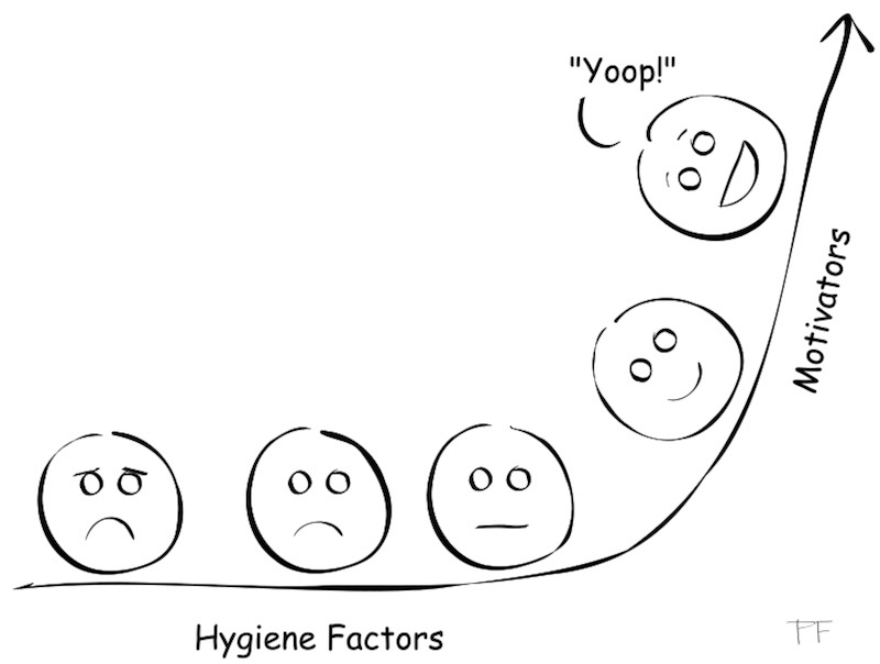Hygiene factors