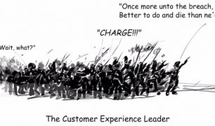 Customer Experience Leader