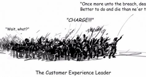 Customer Experience Leader