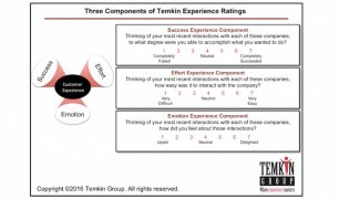 Temkin Experience Ratings