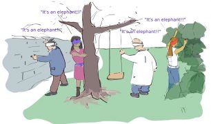 Elephant to illustrate confirmation bias