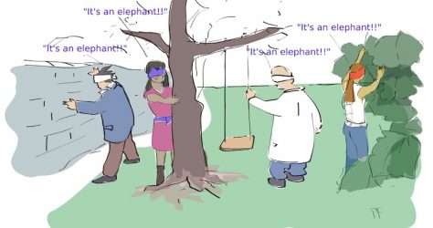 Elephant to illustrate confirmation bias
