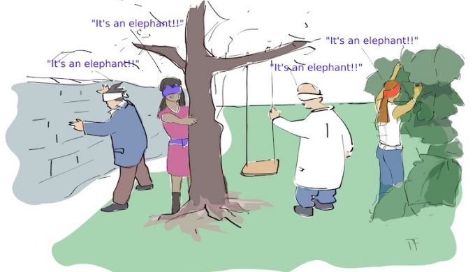 Elephant to illustrate confirmation bias