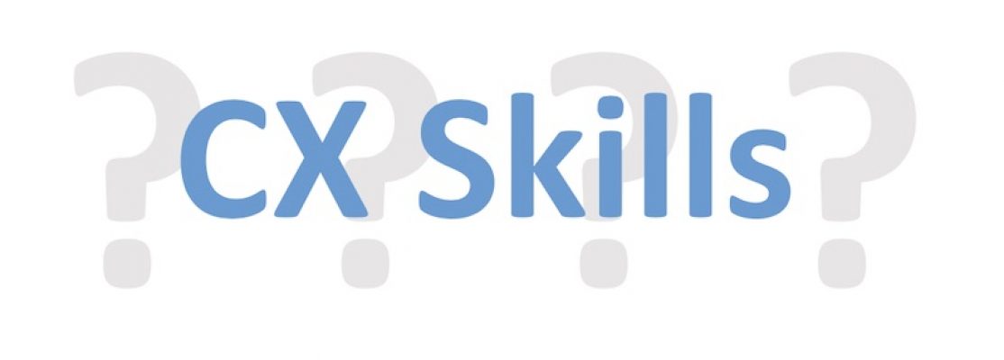 Customer Experience Skills